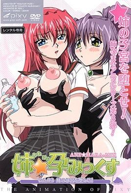 姉☆孕みっくす Vol.03 姉の子宮を堕とせ! [中文字幕][2007-04-20]