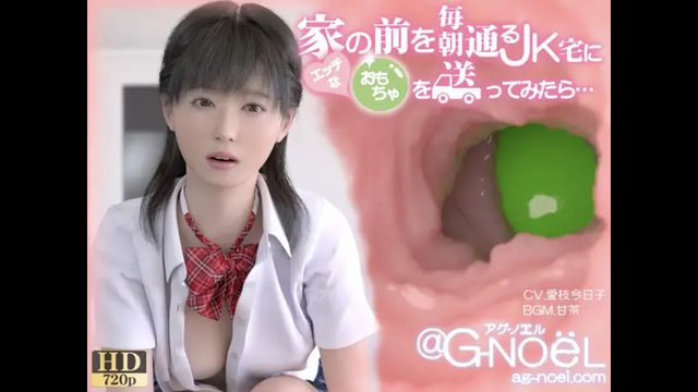 [@G-NoeL アグ・ノエル] 家の前を毎朝通るJK宅にエッチなおもちゃを送ってみたら・・・ [中文字幕][2018-09-30]